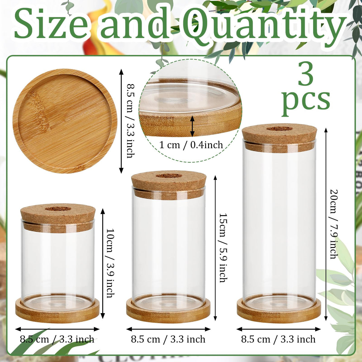 Maxcheck propagation station in clear glass with wooden stand for stable display.