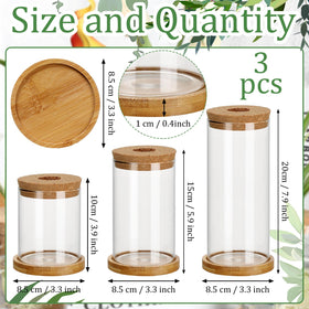 Maxcheck propagation station in clear glass with wooden stand for stable display.