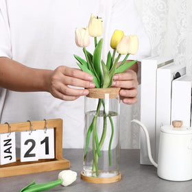 Close-up of Maxcheck propagation vase showing clear glass and cork detail.
