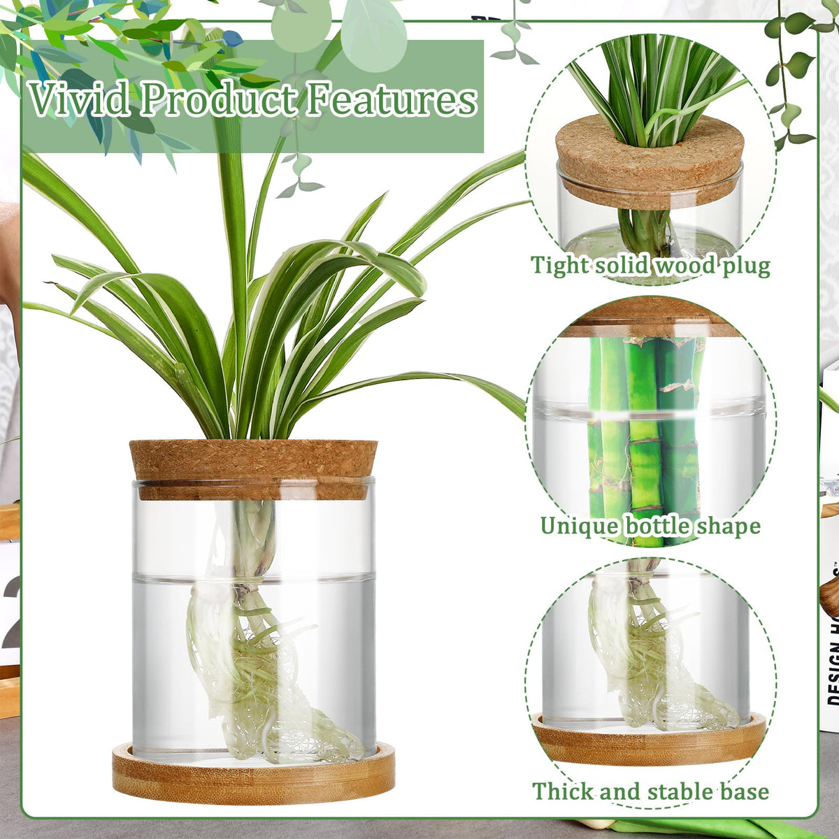 Maxcheck terrarium-style propagation vase suitable for plant displays.