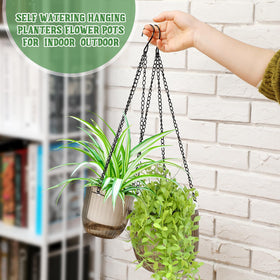 Maxcheck transparent water-level hanging basket lets you monitor moisture easily