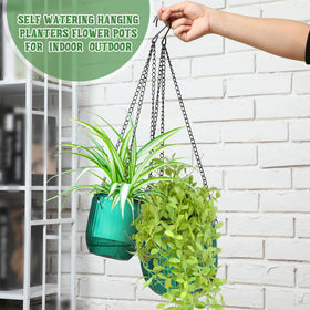 Maxcheck water level visibility in the hanging planter for quick reference