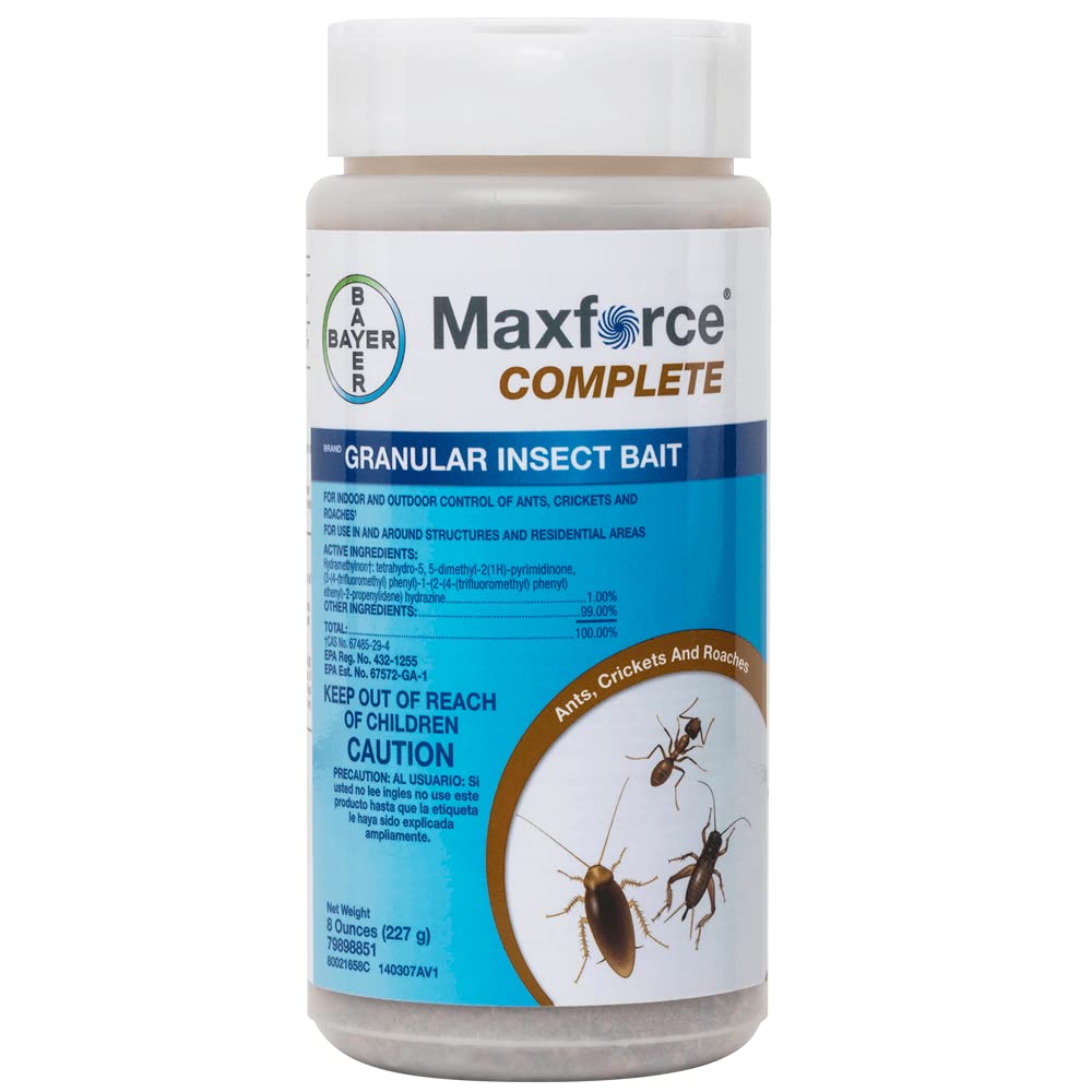Maxforce Complete Granular Insect Bait in pantry areas may reduce pest activity.