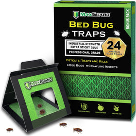 MaxGuard Bed Bug Traps: front view of 24-pack for bed-area monitoring