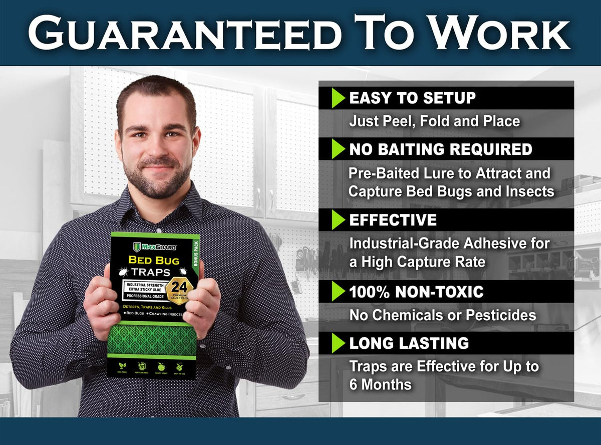 MaxGuard Bed Bug Traps: adhesive detail on non-toxic capture surface