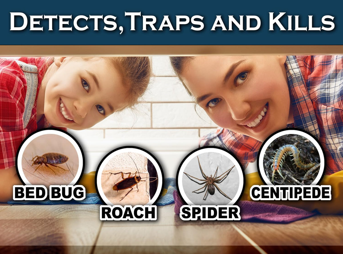 MaxGuard Bed Bug Traps: placement near furniture legs for long-lasting protection