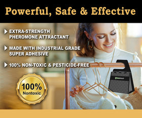 MaxGuard adhesive trap detail emphasizes non-toxic, odorless glue for home use.