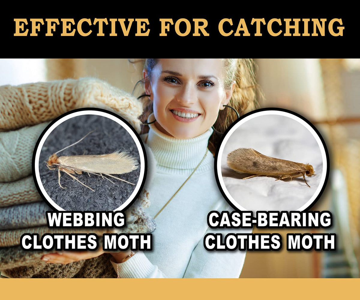 MaxGuard clothes moth traps close-up highlights the sticky glue and pheromone lure.