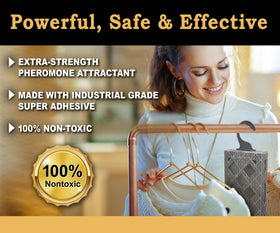 MaxGuard hanging traps design; discreet placement in closets to protect fabrics.