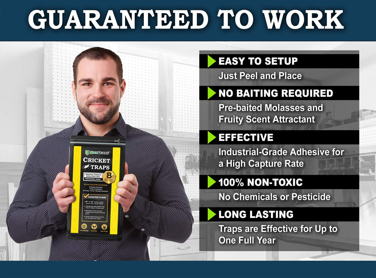 MaxGuard cricket trap attractant glue board highlights prebaited design for easy setup