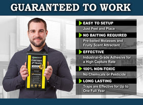MaxGuard cricket trap attractant glue board highlights prebaited design for easy setup