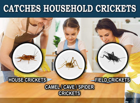 MaxGuard cricket trap fruity scent attractant lures crickets effectively
