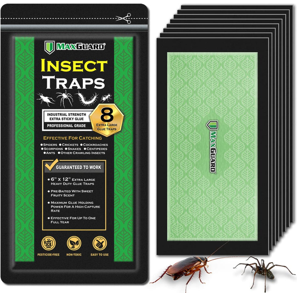 MaxGuard extra large traps in packaging ready to deploy for pest control