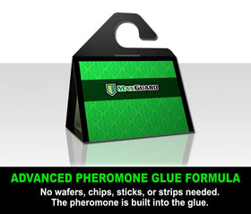 MaxGuard extra-strength pheromone trap attracts and captures male moths for quick action.
