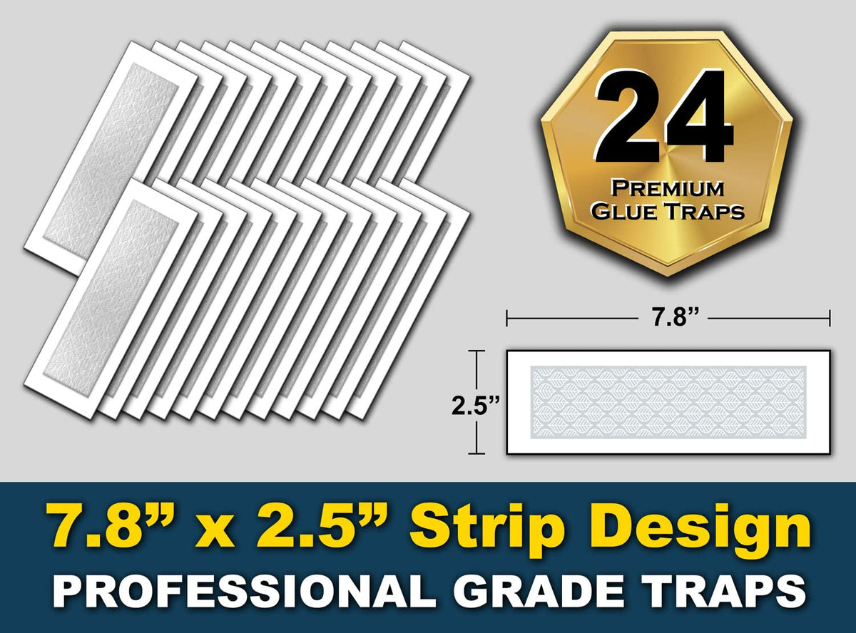 Boxed MaxGuard traps showing 24 pre-baited strips for home use.