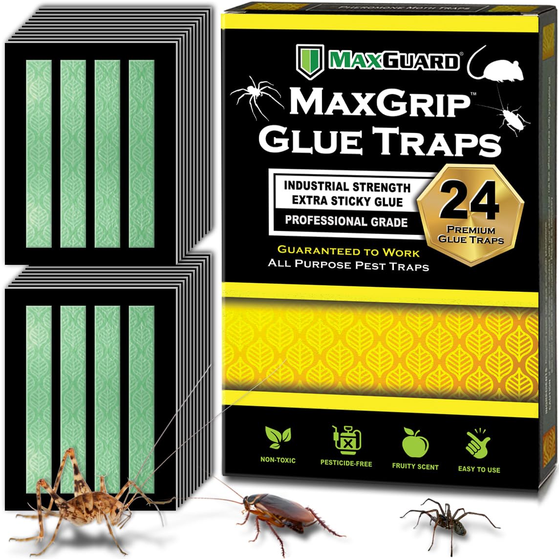 MaxGuard MaxGrip glue traps 24 traps ready to capture common pests