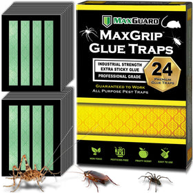 MaxGuard MaxGrip glue traps 24 traps ready to capture common pests