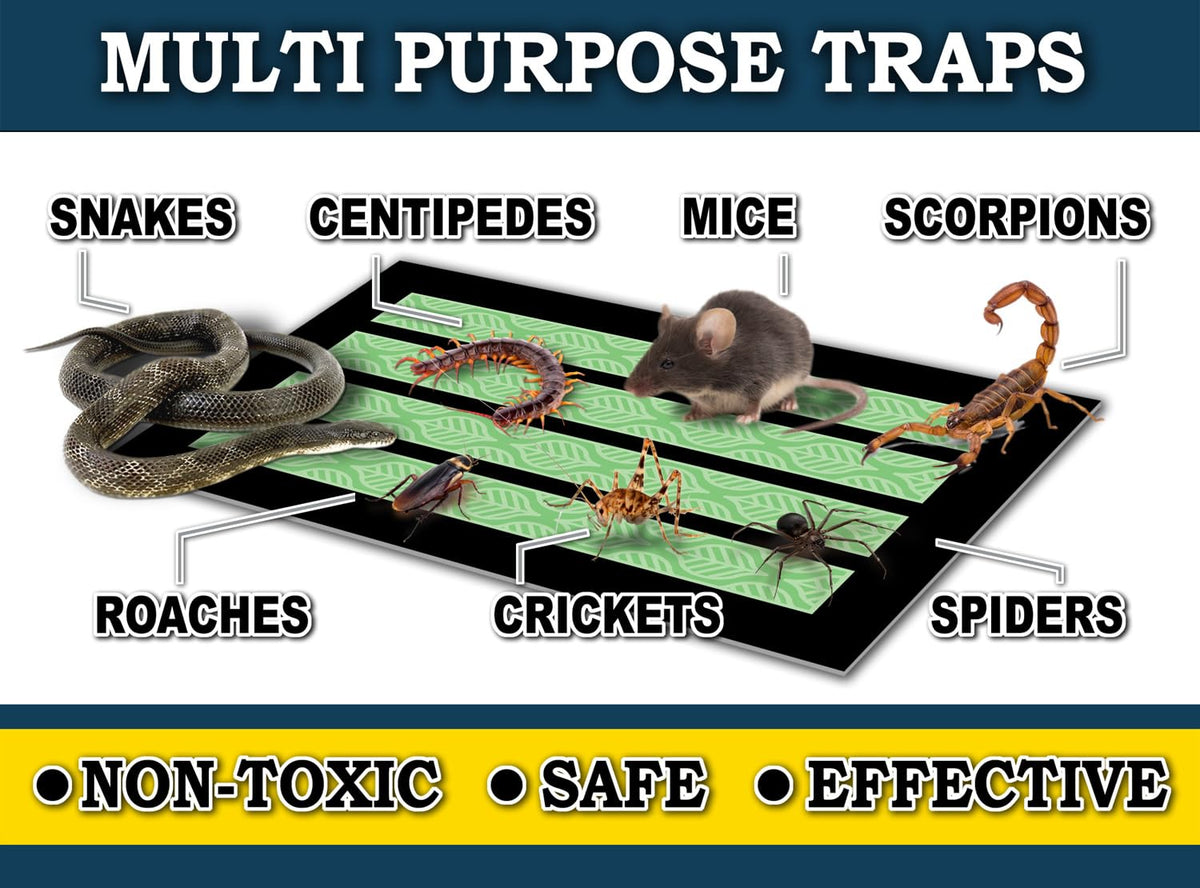 MaxGuard MaxGrip traps offer long-lasting protection for up to six months