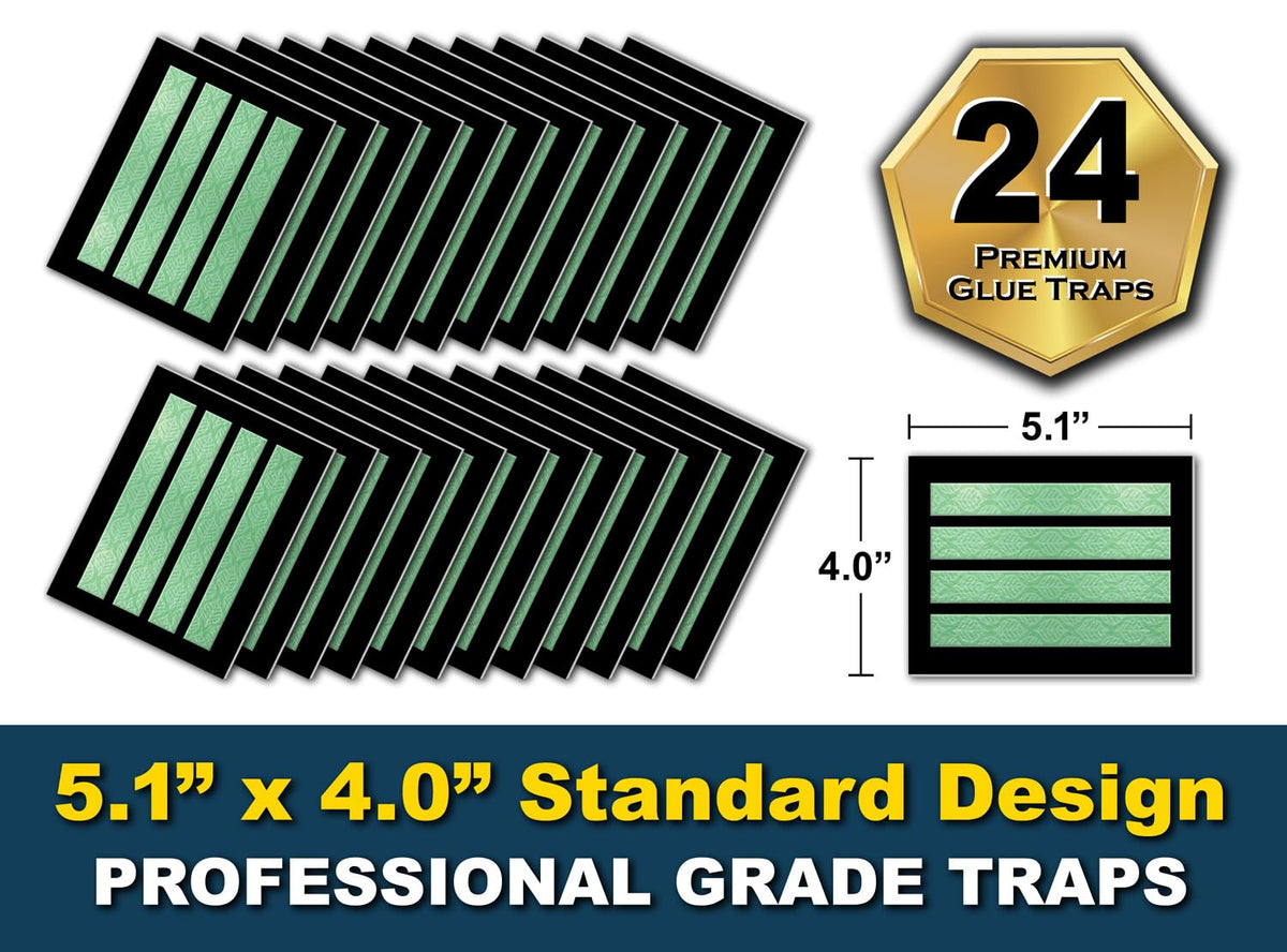 MaxGuard MaxGrip glue traps use non-toxic adhesive safe for homes