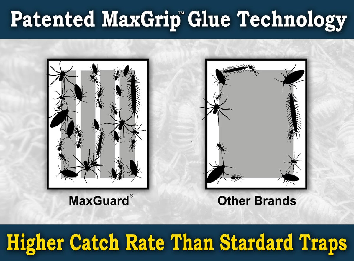 MaxGuard MaxGrip traps measure 4.0 by 5.1 inches for coverage