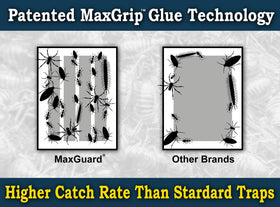 MaxGuard MaxGrip traps measure 4.0 by 5.1 inches for coverage