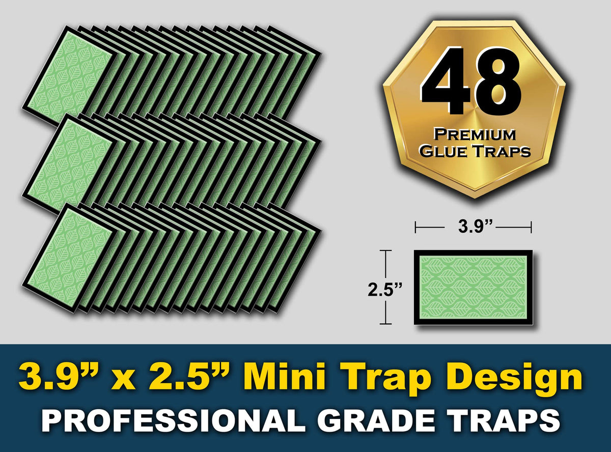 Close-up of the sticky adhesive on a MaxGuard trap.