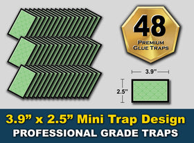 Close-up of the sticky adhesive on a MaxGuard trap.