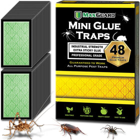 MaxGuard Mini Glue Traps box ready for pest control.