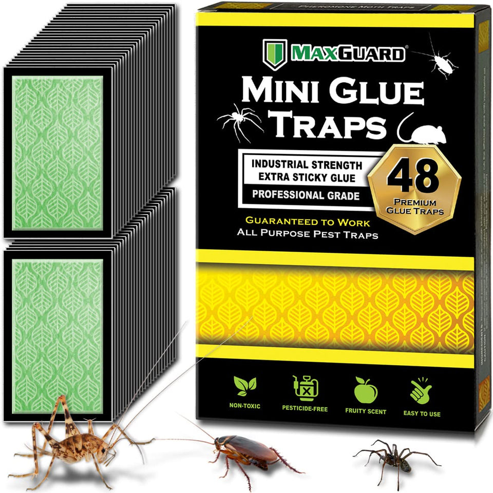 MaxGuard Mini Glue Traps box ready for pest control.