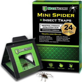 MaxGuard Mini Spider Traps box of 24 helps keep your home spider-free.
