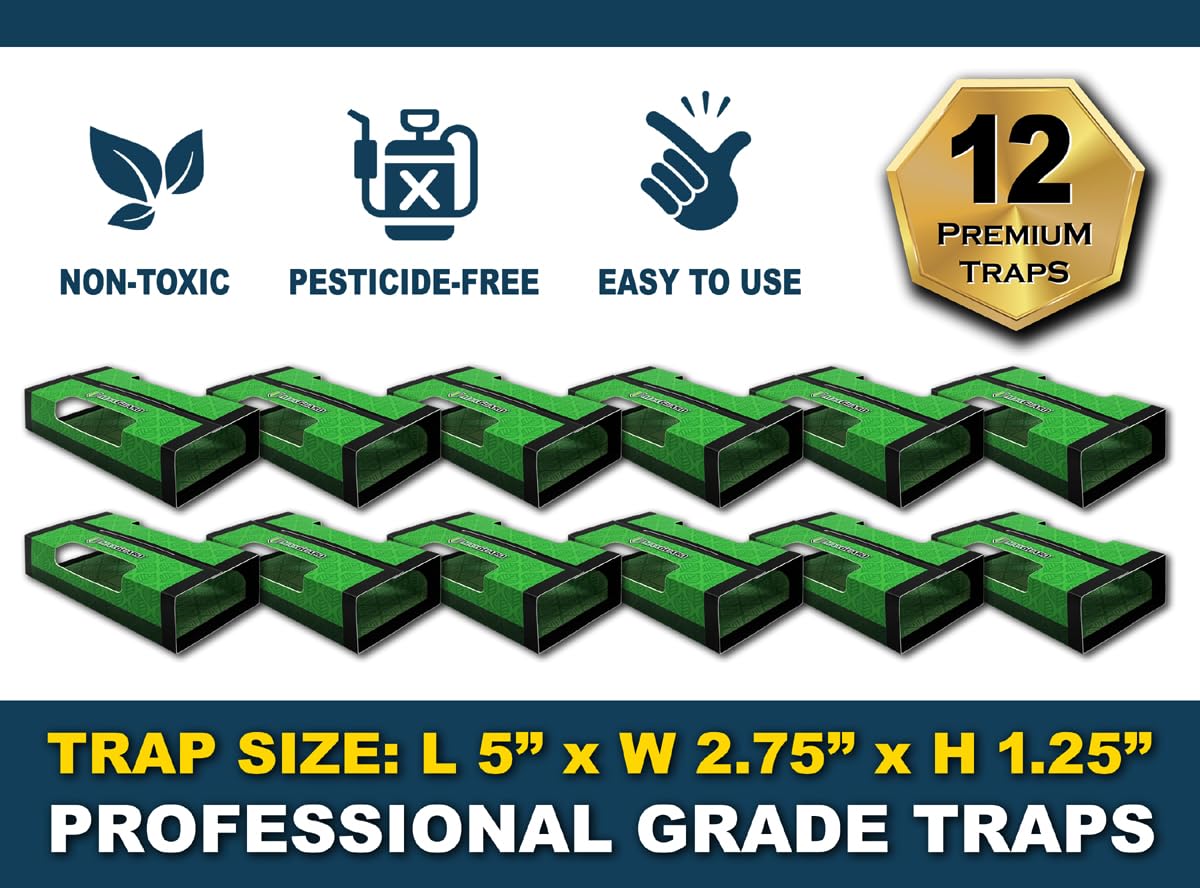 MaxGuard non-toxic adhesive keeps homes safe while catching pests.