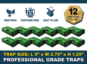 MaxGuard non-toxic adhesive keeps homes safe while catching pests.
