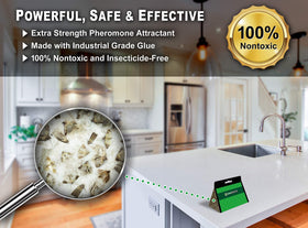Maxguard pantry moth trap packaging shows ready-to-use traps.