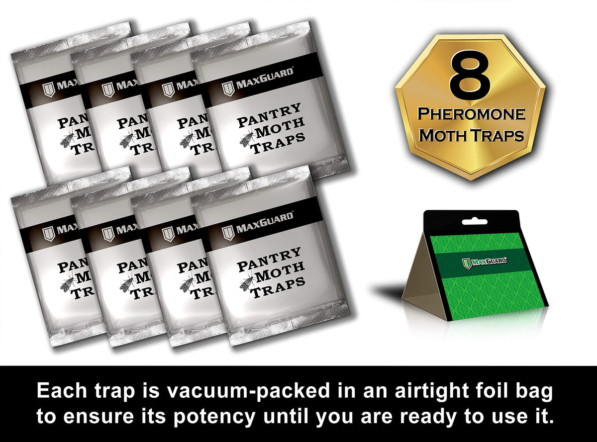 Maxguard pantry moth trap in dry food storage area for pest management.
