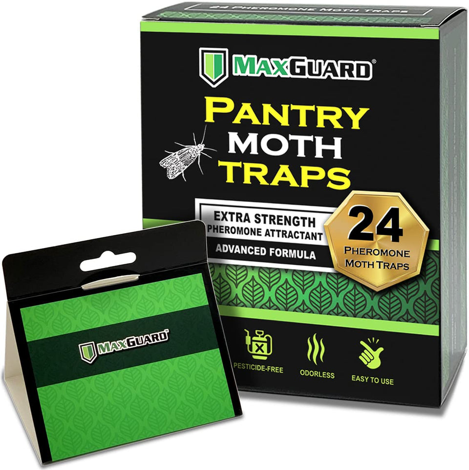 MaxGuard 24-pack pantry moth traps box ready for setup in the kitchen