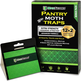 Maxguard pantry moth traps close-up of sticky glue catching moths to protect dry goods.