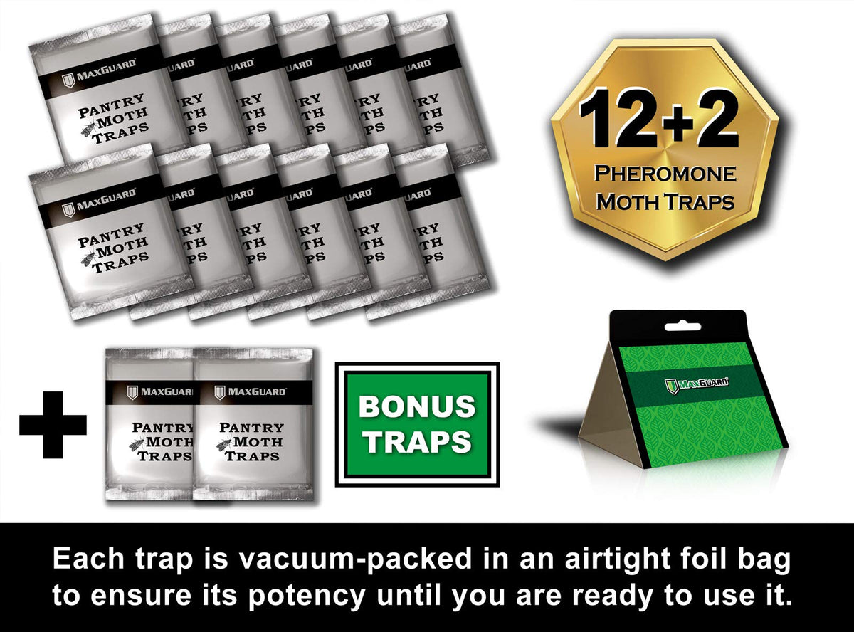 Maxguard pantry moth traps deployed in pantry for long-lasting protection.