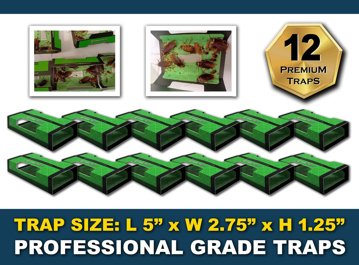 MaxGuard adhesive close-up showing ultra sticky trap surface