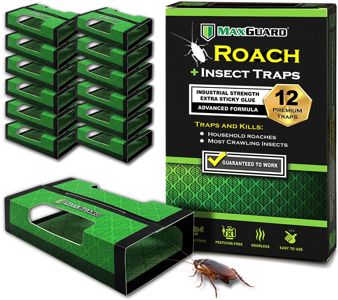 MaxGuard Roach + Spider Traps box front for easy home use