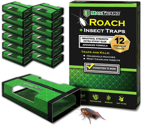 MaxGuard Roach + Spider Traps box front for easy home use