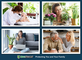 MaxGuard Roach + Spider Traps capture pests without chemicals