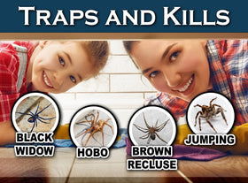 MaxGuard spider traps easy peel and fold setup for quick placement.