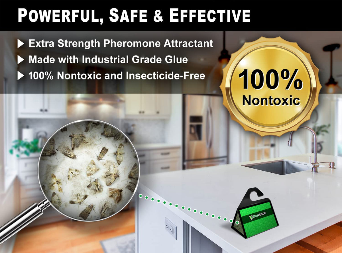 MaxGuard easy-open traps show simple peel-and-place setup in infested areas.