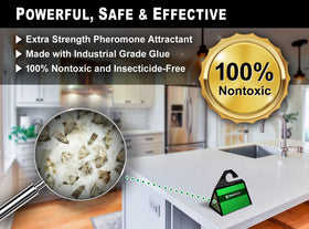 MaxGuard easy-open traps show simple peel-and-place setup in infested areas.