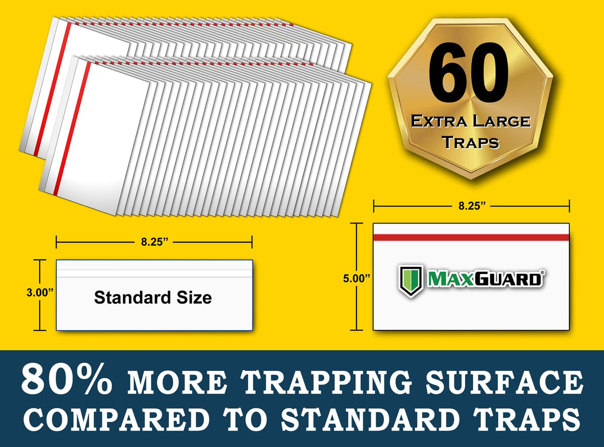 60-trap pack from MaxGuard displayed for long-lasting window protection.