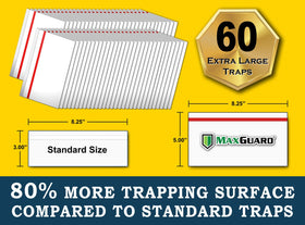 60-trap pack from MaxGuard displayed for long-lasting window protection.