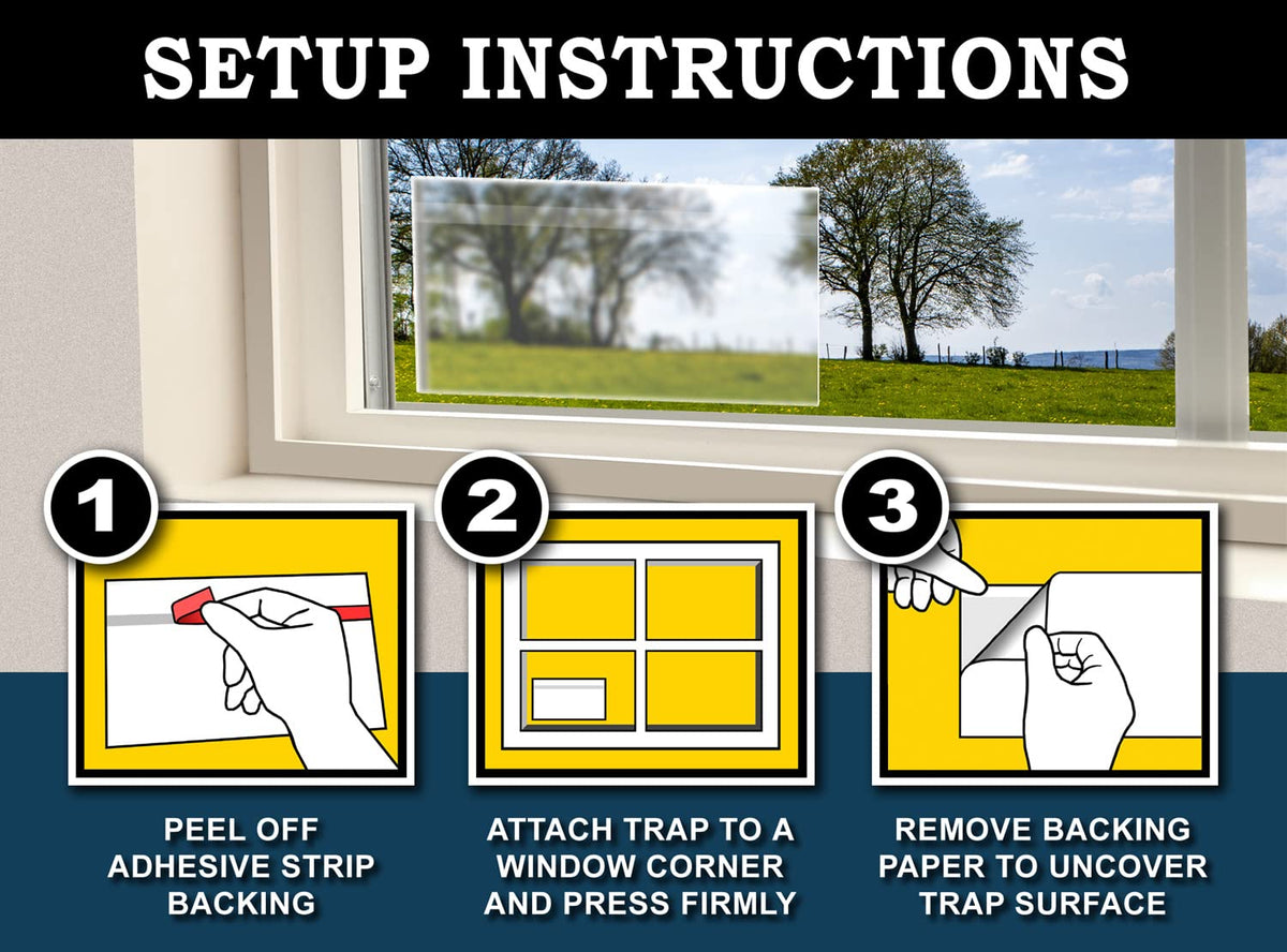 Clear strip blends with windows for discreet pest control with MaxGuard.