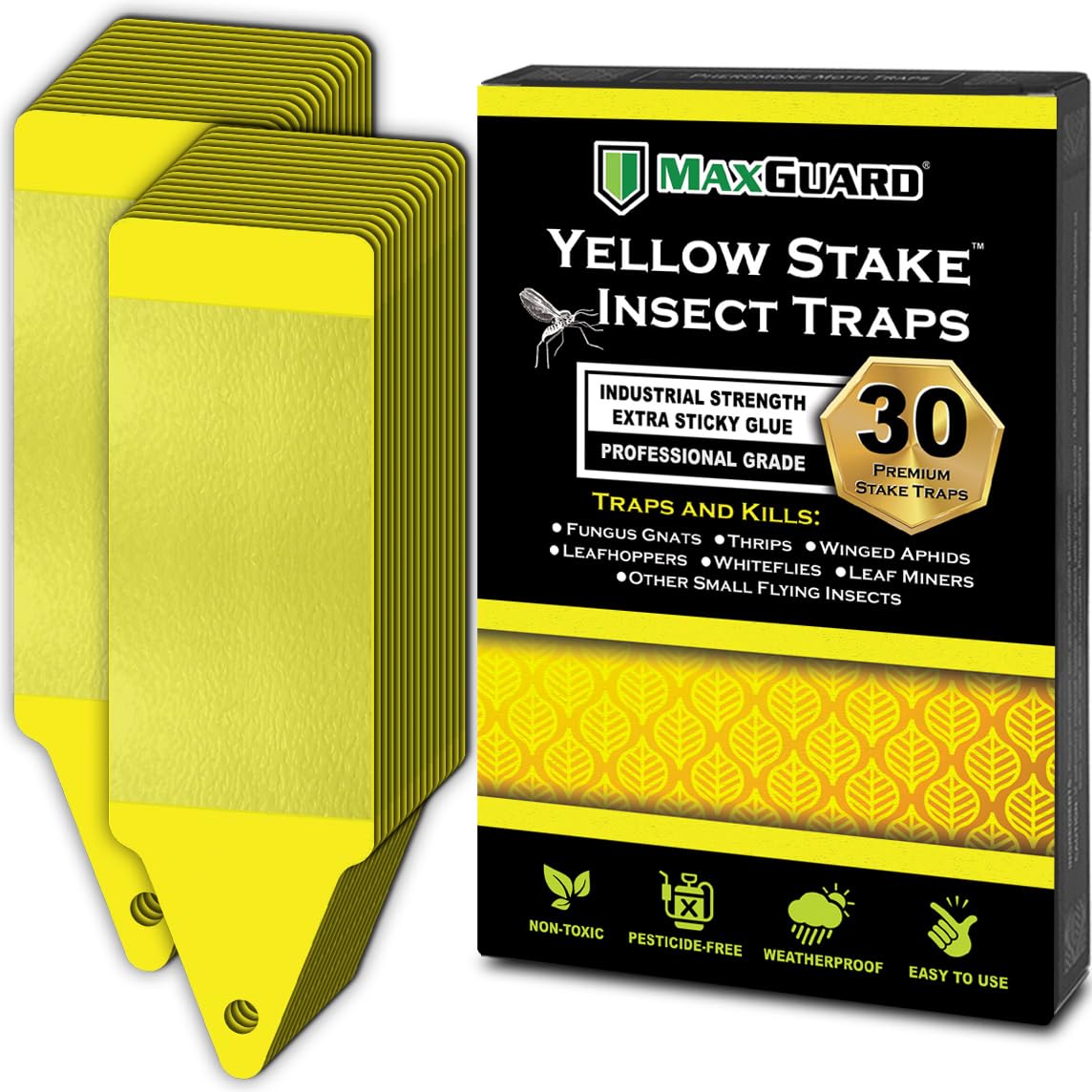 MaxGuard yellow stake trap assembled for quick, toxin-free pest control in potted plants.