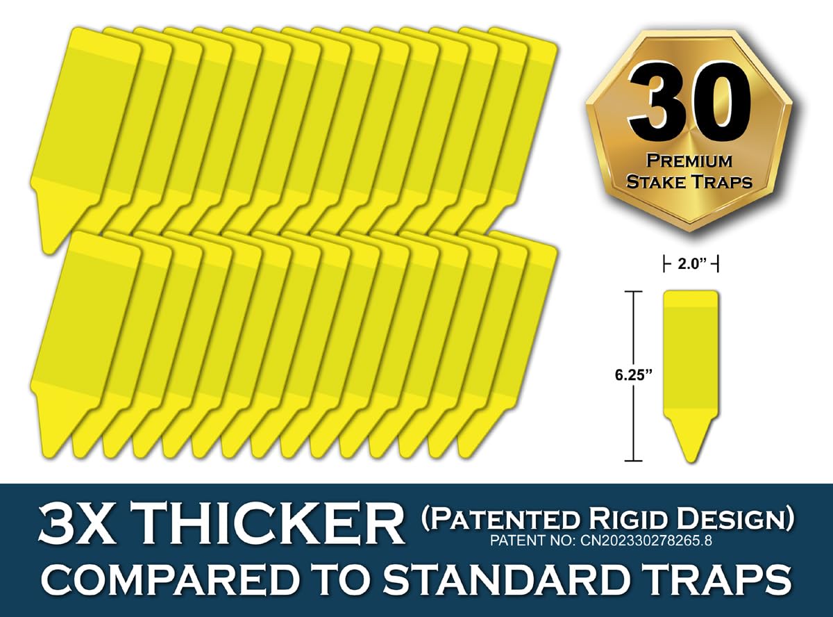 MaxGuard yellow stake trap outdoors on a branch, protecting plants from pests.