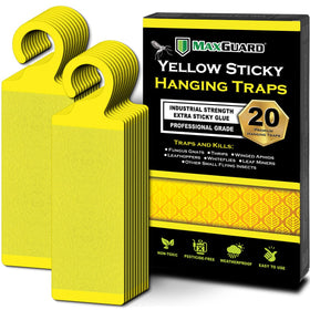 MaxGuard yellow sticky trap hanging near greenhouse racks catching flying gnats.